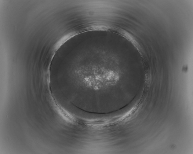 X0000091091034200708201453