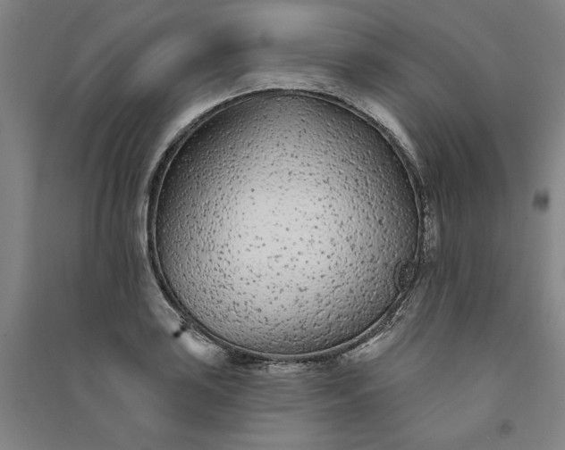 X0000091091035200708201453