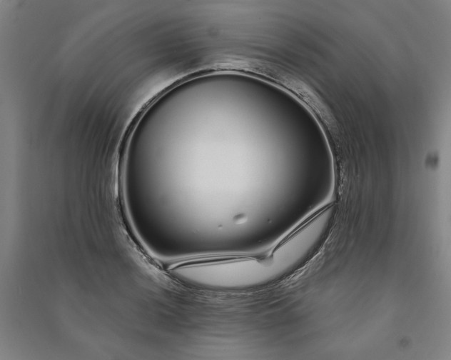 X0000091091036200708201453