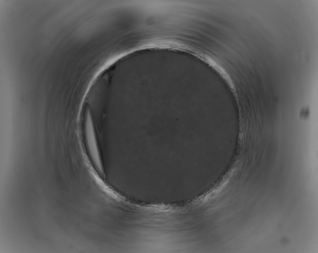 X0000091091037200708201453