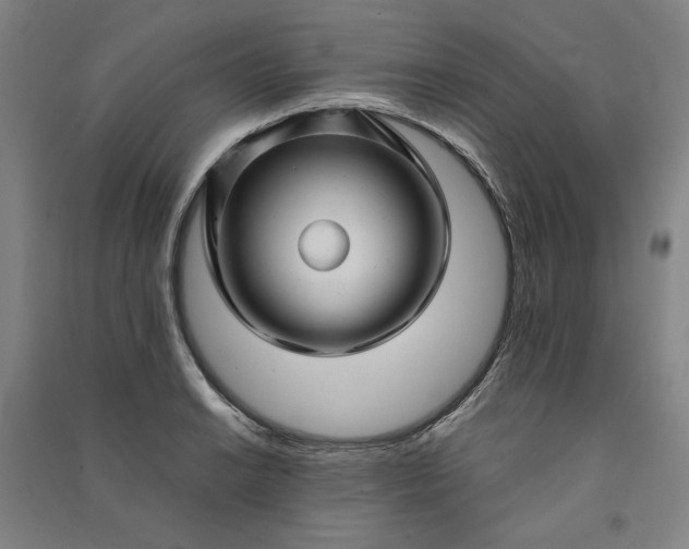 X0000091091038200708201453