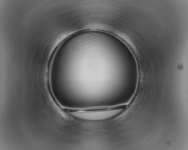 X0000091091040200708201453