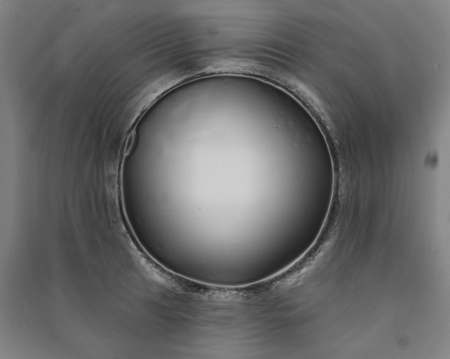 X0000091091041200708201453