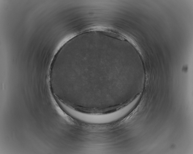 X0000091091042200708201453