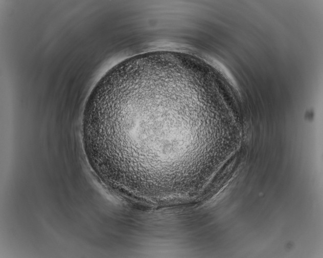 X0000091091043200708201453