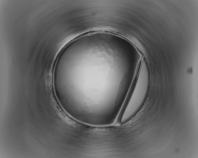 X0000091091044200708201453