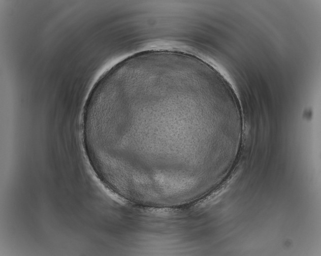 X0000091091045200708201453