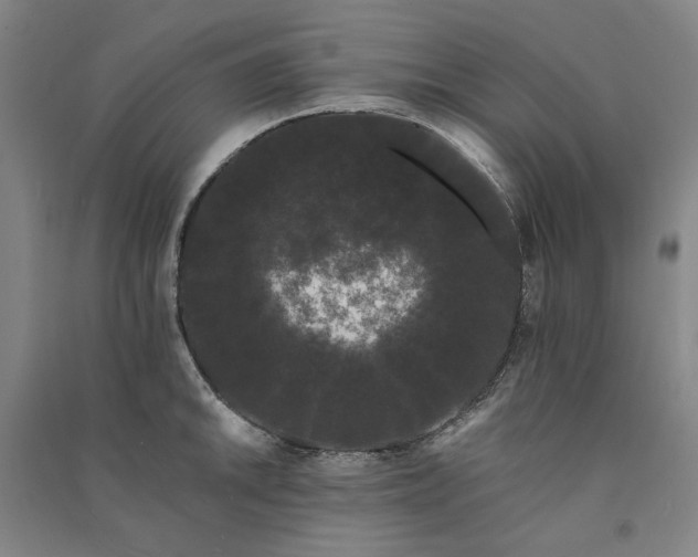 X0000091091046200708201453