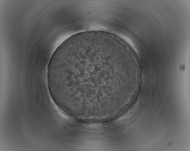 X0000091091047200708201453