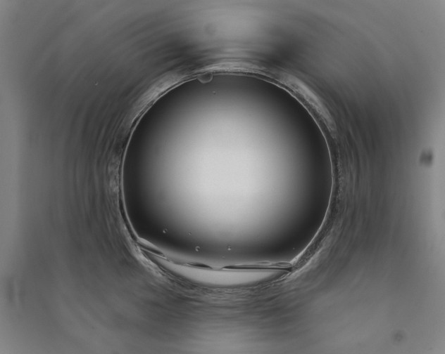 X0000091091049200708201453