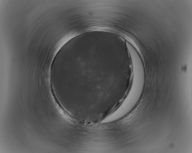 X0000091091050200708201453