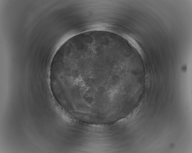 X0000091091051200708201453