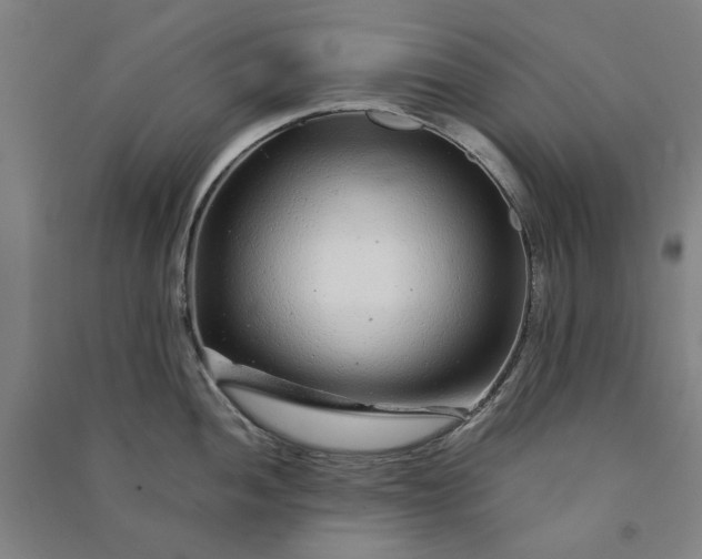 X0000091091052200708201453