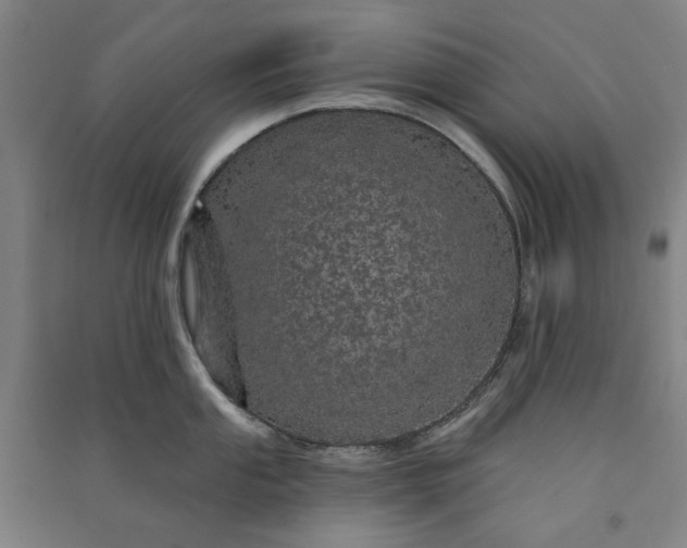 X0000091091053200708201453