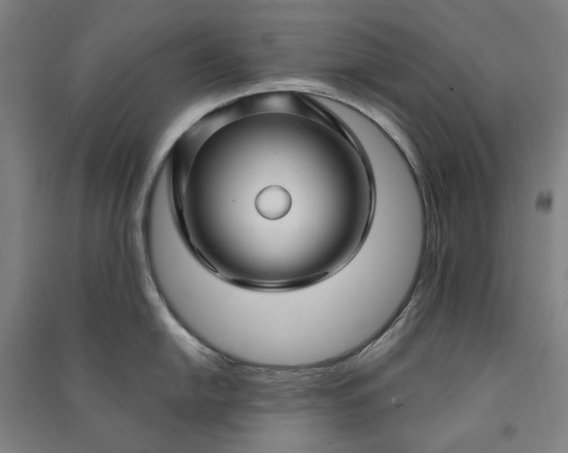 X0000091091054200708201453