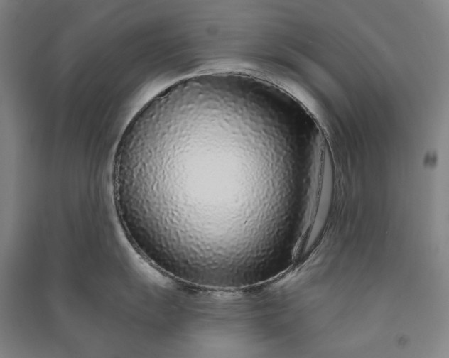 X0000091091055200708201453