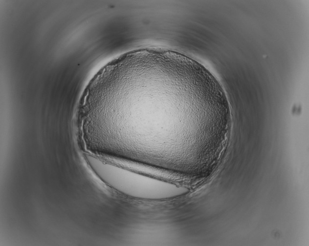 X0000091091056200708201453