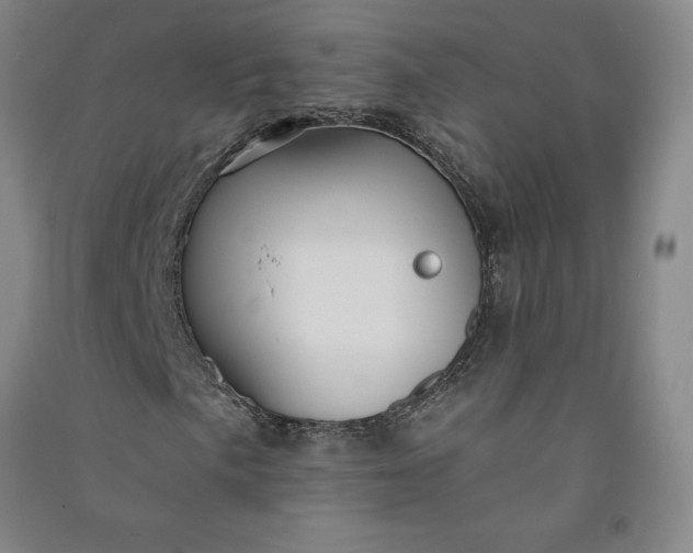 X0000091091057200708201452