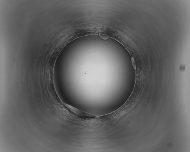 X0000091091058200708201452