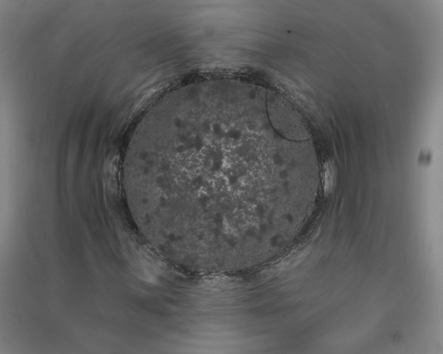 X0000091091059200708201452