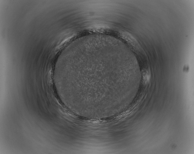 X0000091091060200708201452