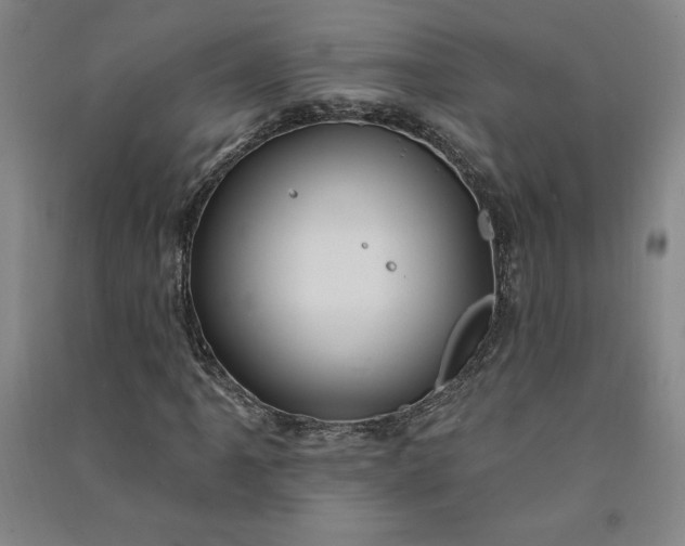 X0000091091061200708201452