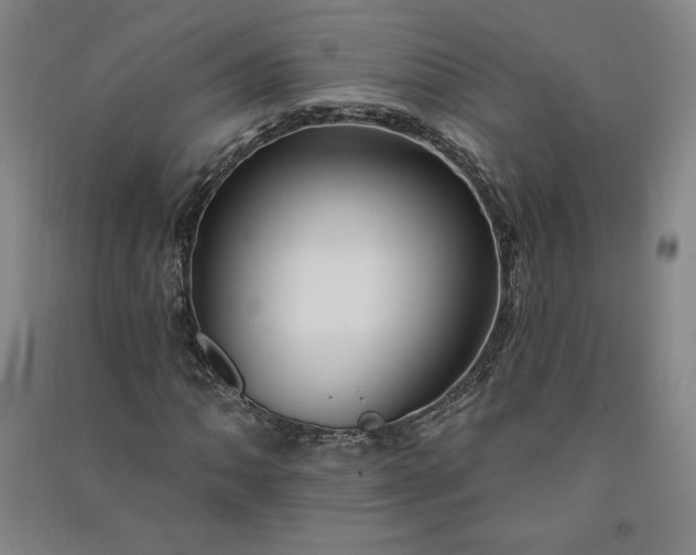 X0000091091062200708201452