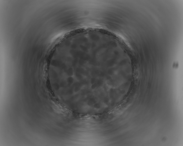 X0000091091063200708201452