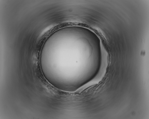 X0000091091064200708201452