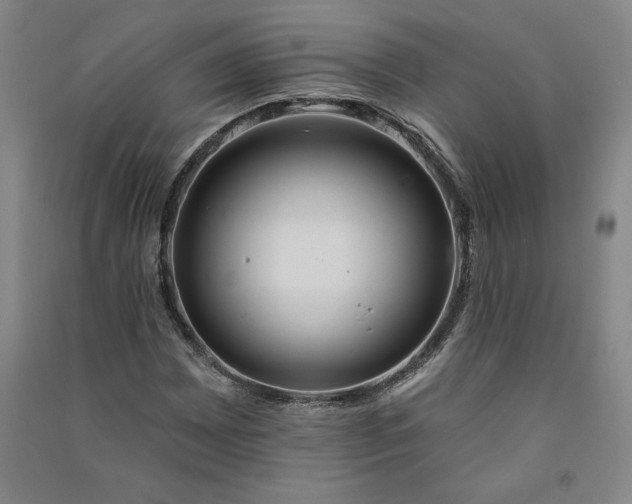 X0000091091065200708201452