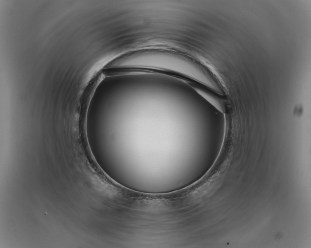 X0000091091066200708201452