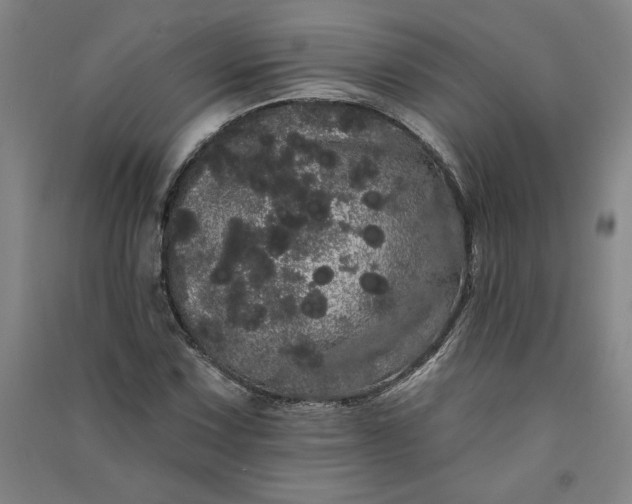 X0000091091067200708201452