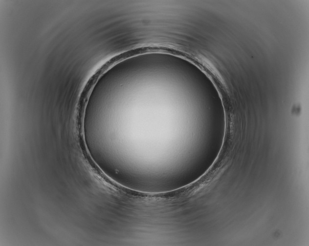 X0000091091068200708201452