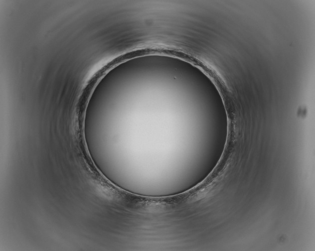 X0000091091070200708201452