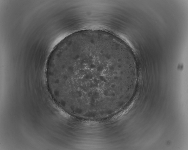 X0000091091071200708201452