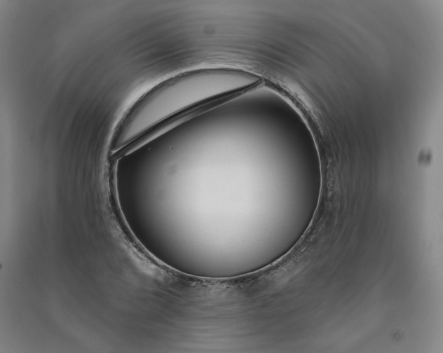 X0000091091072200708201452