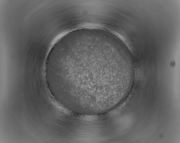 X0000091091074200708201452