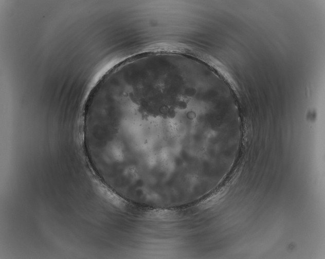 X0000091091075200708201452