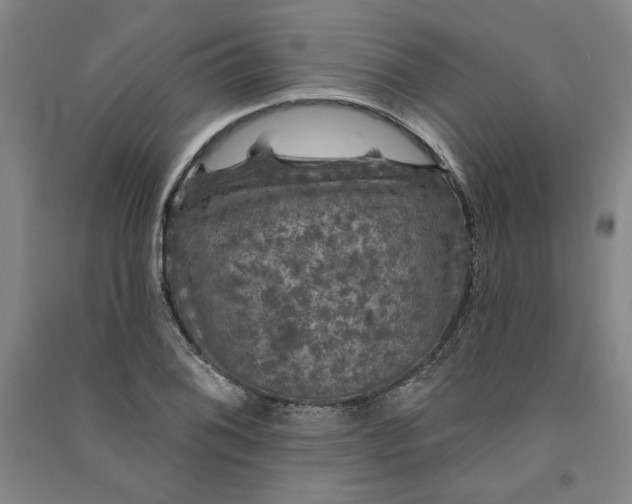 X0000091091076200708201452