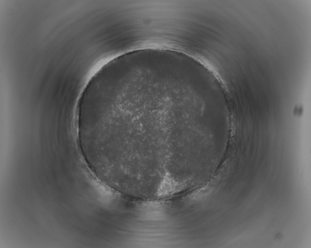 X0000091091078200708201452