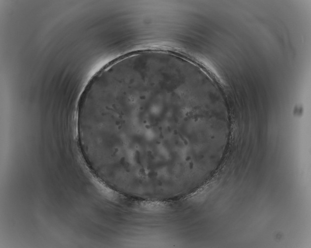 X0000091091079200708201452