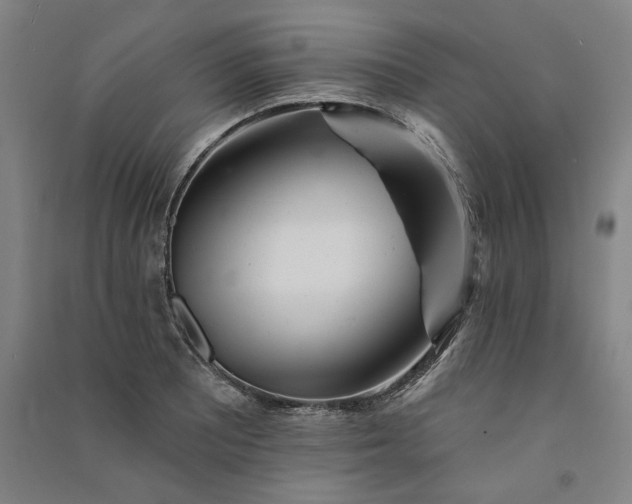 X0000091091081200708201452