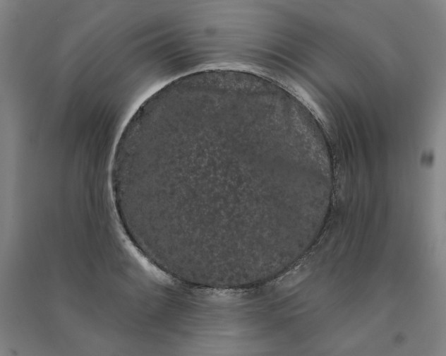 X0000091091084200708201452