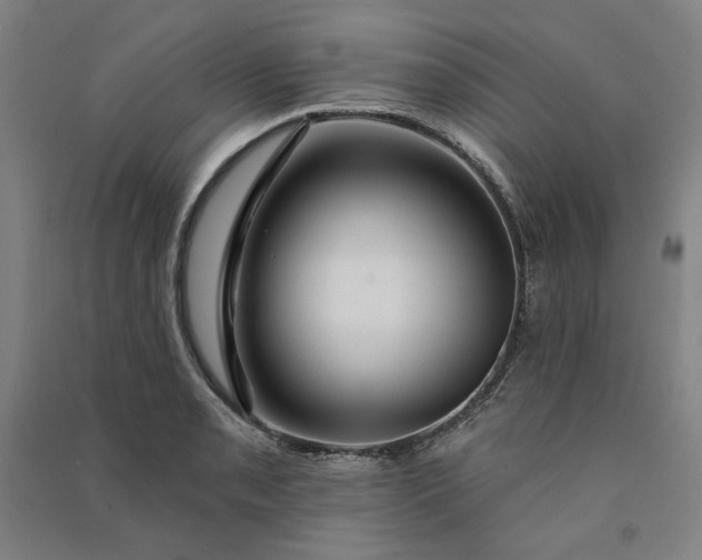 X0000091091085200708201452