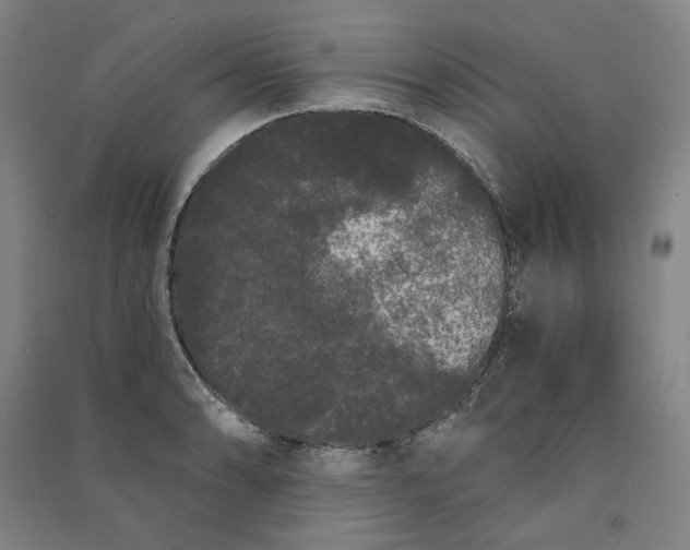 X0000091091086200708201452