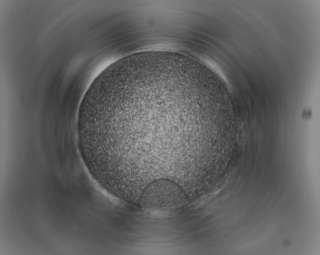 X0000091091087200708201452