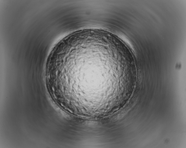 X0000091091088200708201452