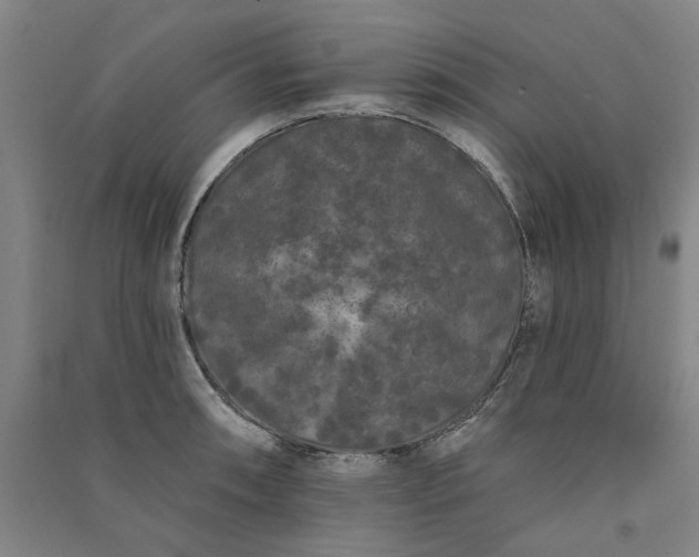 X0000091091090200708201452