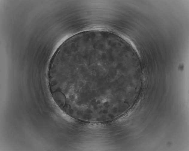 X0000091091091200708201452