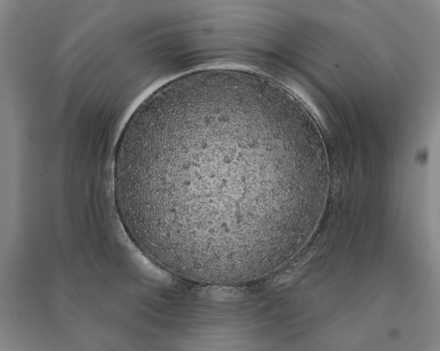 X0000091091092200708201452